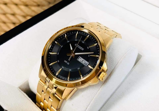 Citizen BF2013-56E Men’s Gold Stainless Steel Watch with Black Dial